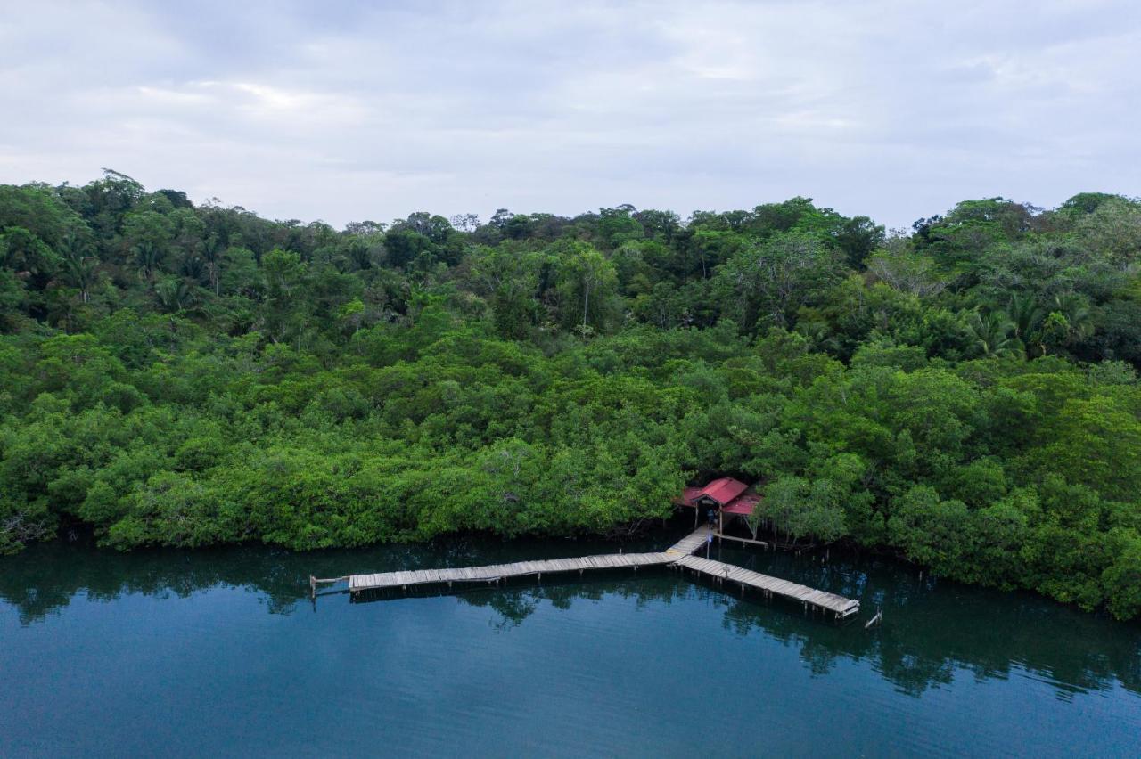 Palmar Beach Lodge Bocas del Toro Buitenkant foto