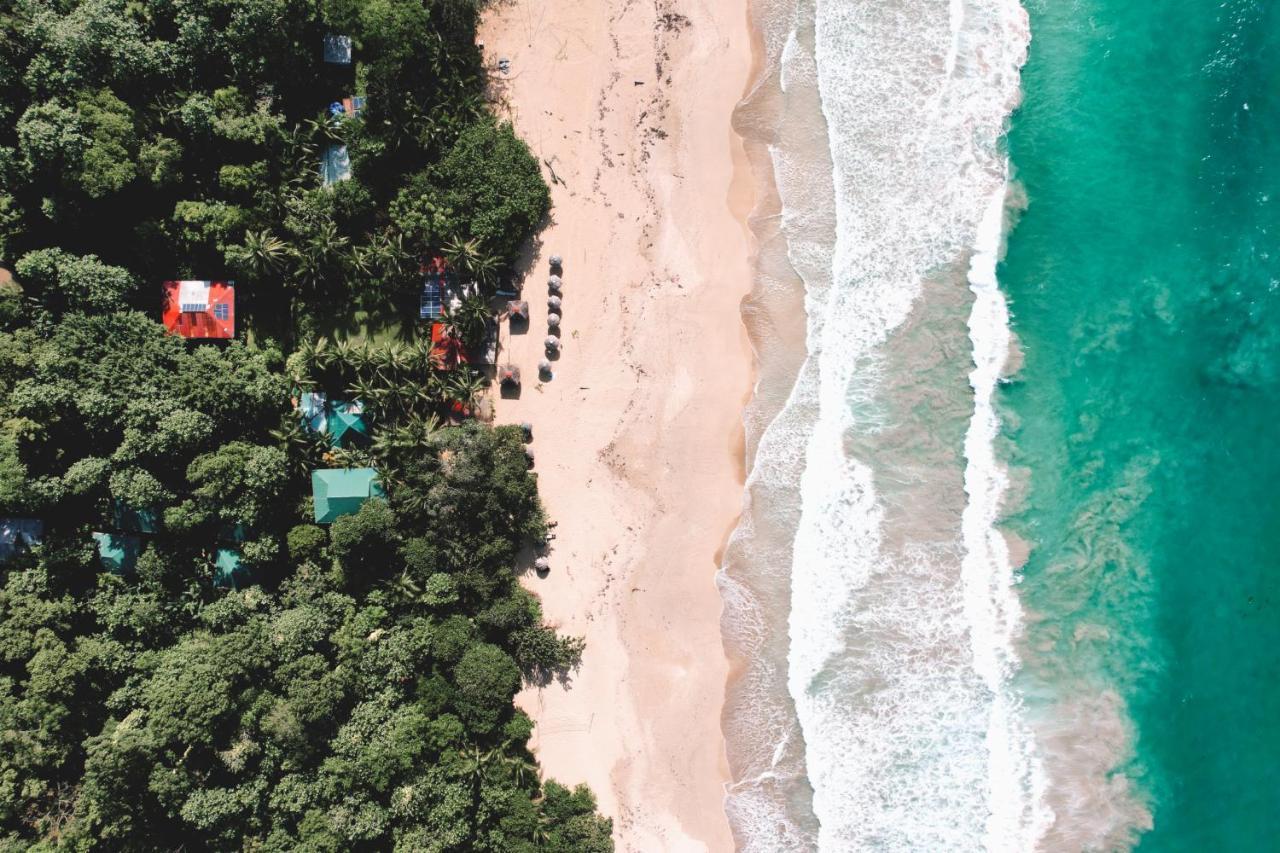 Palmar Beach Lodge Bocas del Toro Buitenkant foto