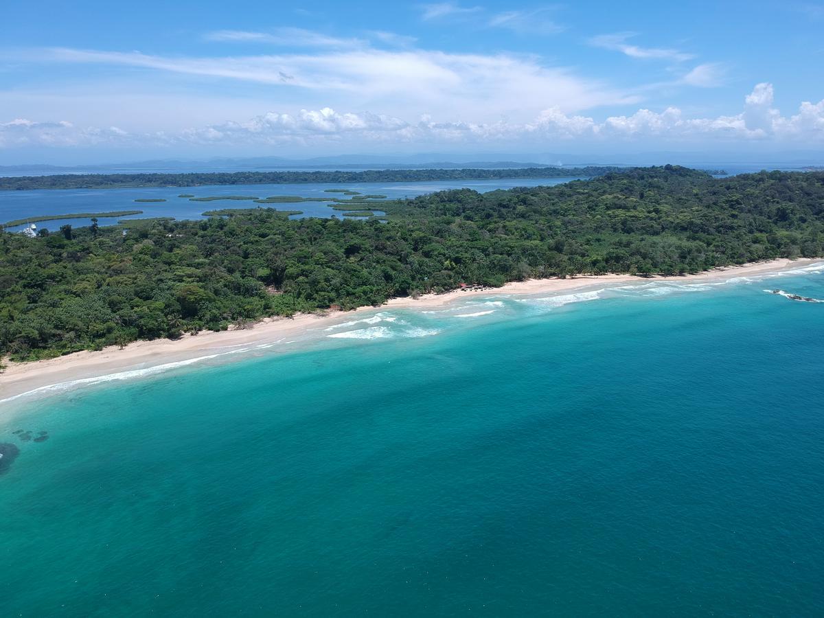 Palmar Beach Lodge Bocas del Toro Buitenkant foto