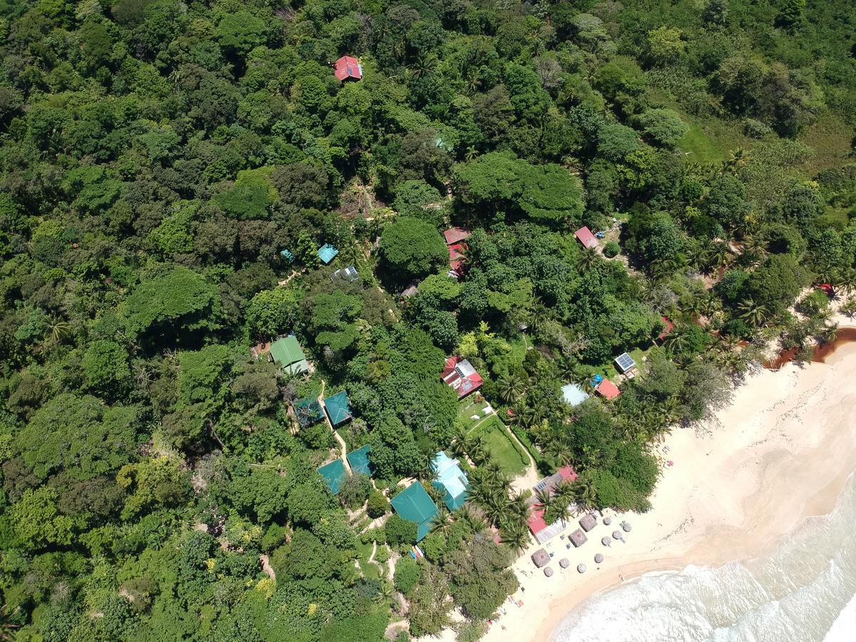 Palmar Beach Lodge Bocas del Toro Buitenkant foto